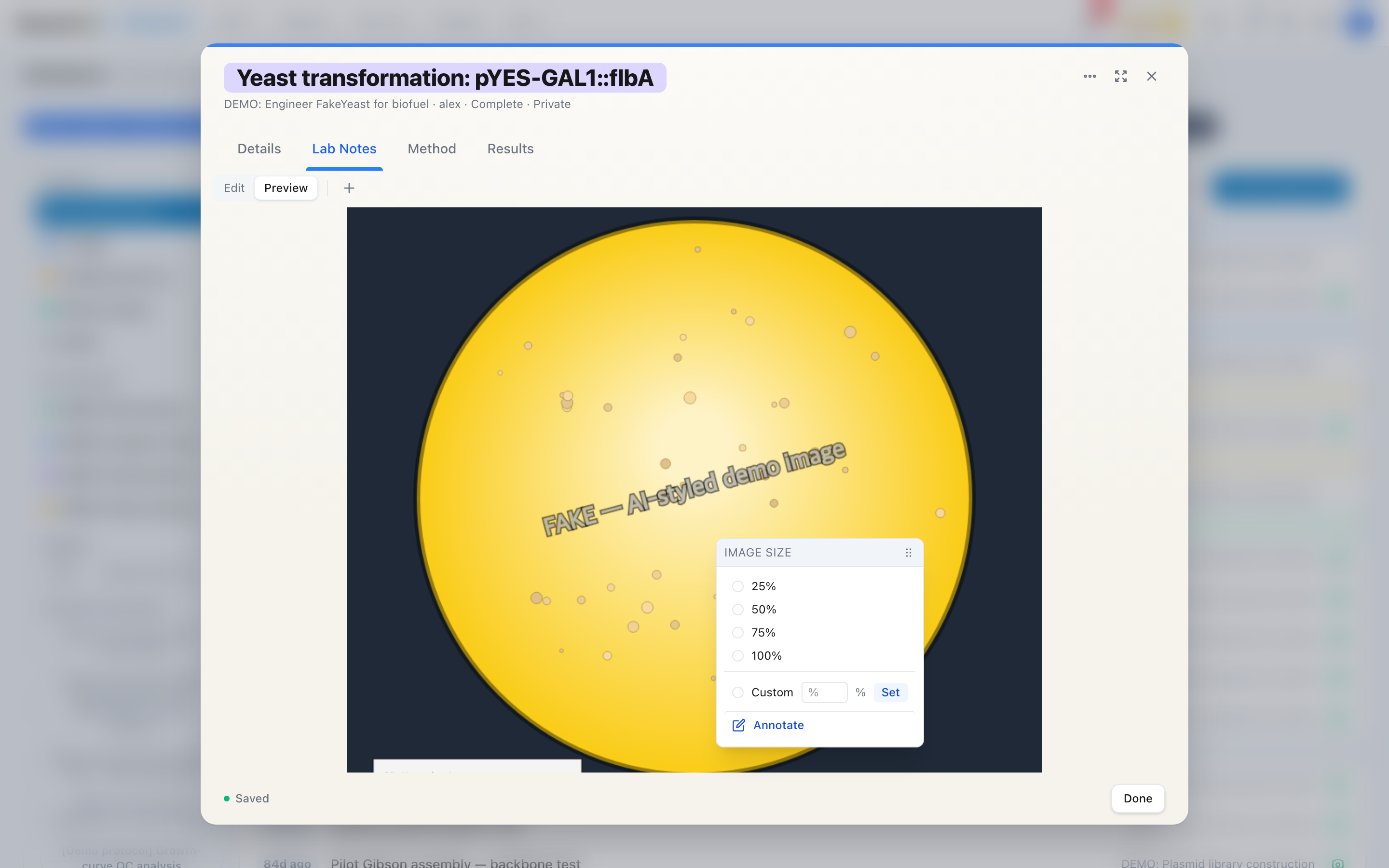 The image resize popover open over a body image, with 25%, 50%, 75%, and 100% size options.